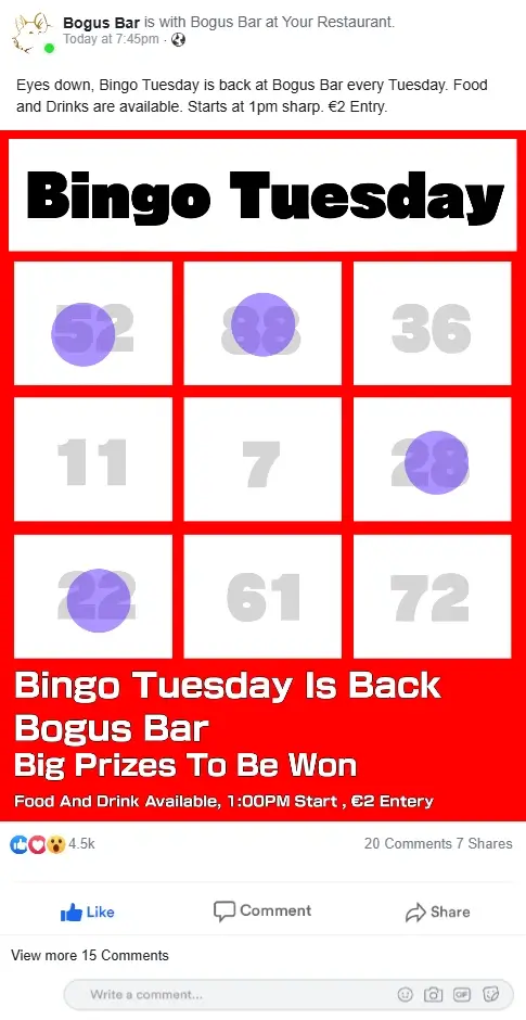 Bingo Night