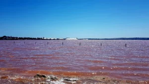 Lagunas De Torrevieja, 8 Things To Do In Torrevieja